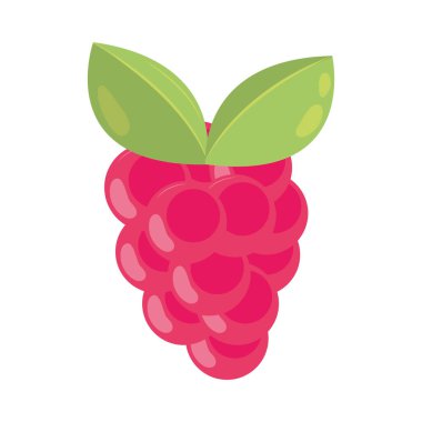 ahududu meyve simgesi izole edilmiş vektör