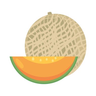 kavun meyvesi ikonu izole vektörü