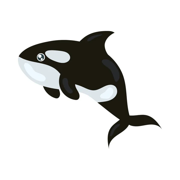 Killer Whale Sea Life Icon Isolated — Stock Vector