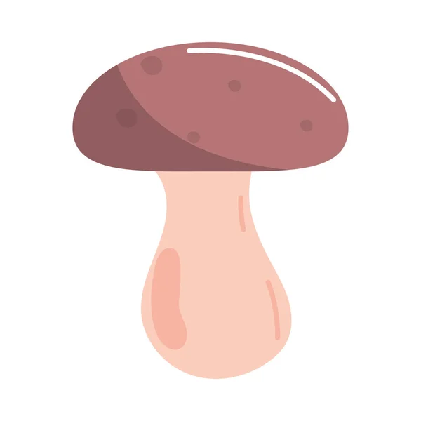 Mushroom Vegetable Icon Isolated Vector — Stock Vector