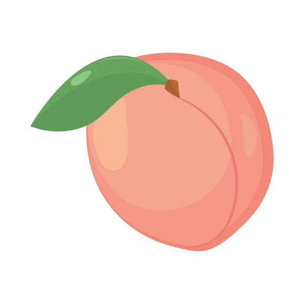 Persika Frukt Ikon Isolerad Vektor — Stock vektor