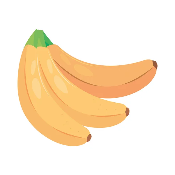 Bananenfruit Pictogram Geïsoleerde Vector — Stockvector