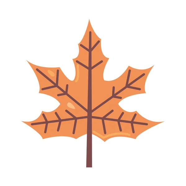 Maple Leaf Autumn Icon Isolated Vector — Stock Vector