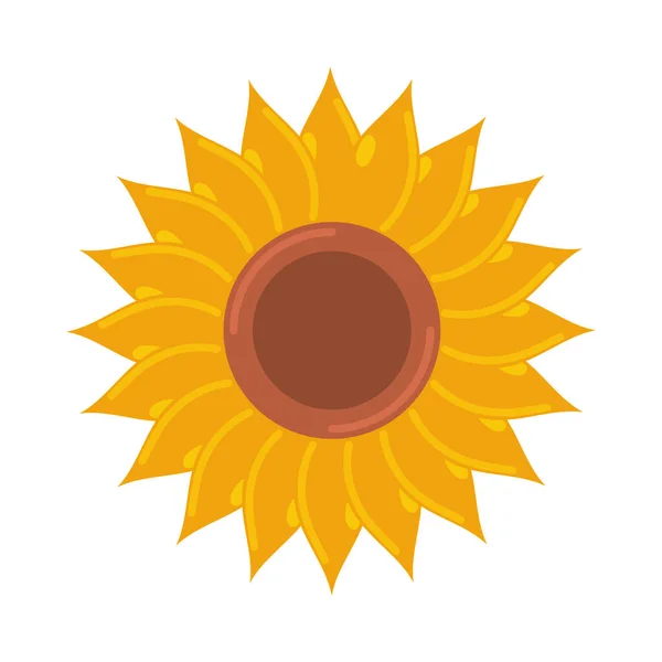 Sonnenblume Natur Symbol Isolierten Vektor — Stockvektor