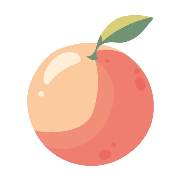 Orangenfrucht Symbol Isolierter Vektor — Stockvektor