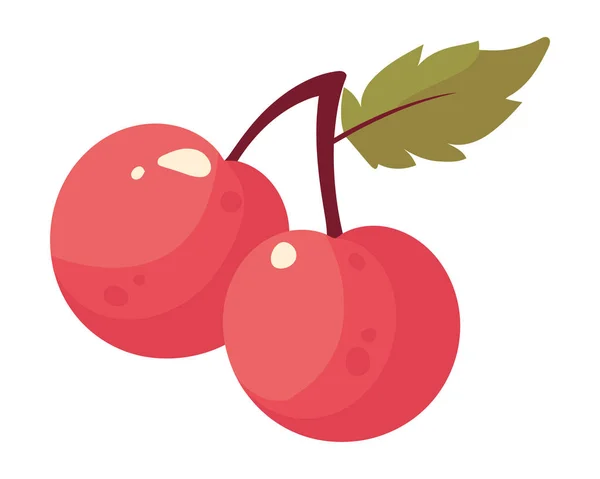 Cherry Fruit Icon Isolated Vector — Stock Vector