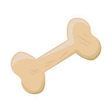 Köpekler için kemik vektörü izole