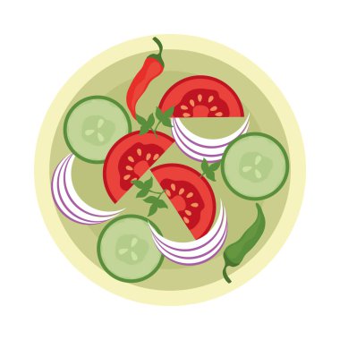 Hint yemeği salatası vektörü izole edildi