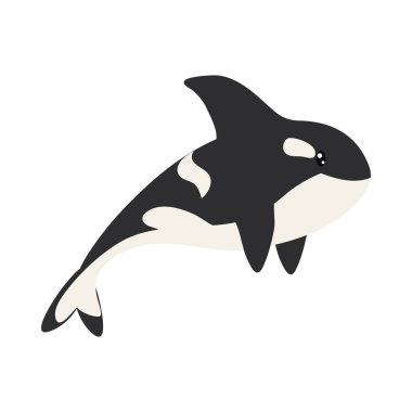 Katil balina çizim vektörü izole edildi