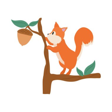 Palamut vektörü izole edilmiş sincap.