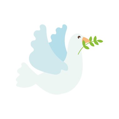 Zeytin dalı vektörü izole edilmiş güvercin