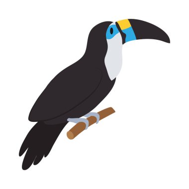 renkli tukan çizim vektörü izole edildi