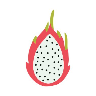 ejderha meyve illüstrasyon vektörü izole