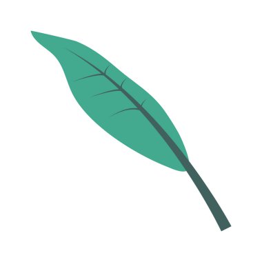 yeşil bitki yaprağı vektörü izole