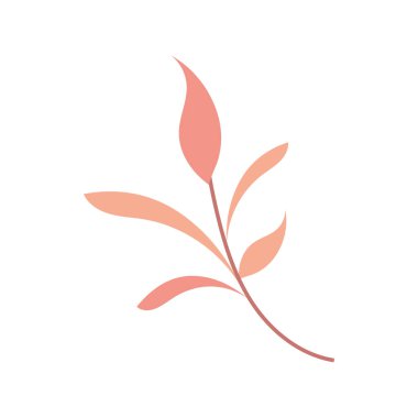 pembe bitki dalı vektörü izole edildi