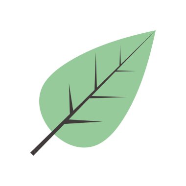 yeşil bitki yaprağı çizim vektörü izole edildi