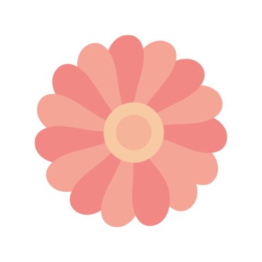 pembe çiçek illüstrasyon vektörü izole