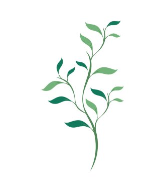 yeşil bitki dal vektörünü izole etti
