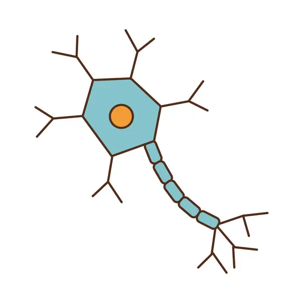 Neuron Parkinson Desain Terisolasi Manusia Stok Vektor