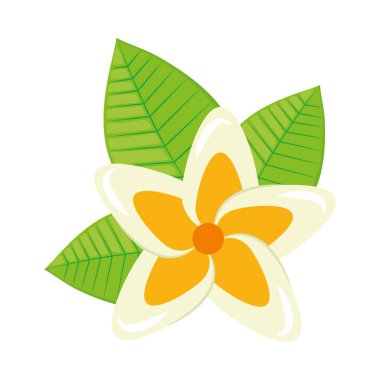 çiçek süsleme tasarımı izole vektörü