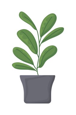 ev dekorasyonu öğesi izole edildi