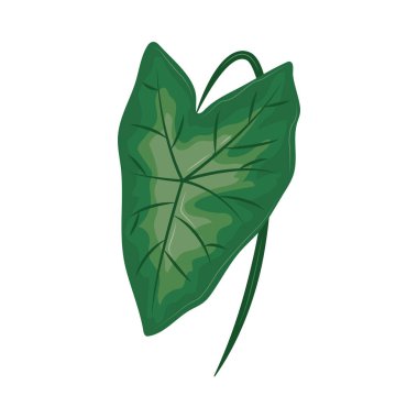 exotic and tropical leaf foliage icon clipart