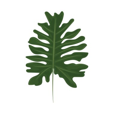 green exotic palm leaf foliage icon clipart