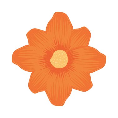 Turuncu taç yapraklı güzel çiçek