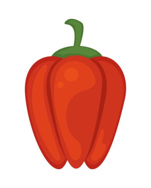 pepper vegetable icon isolated design