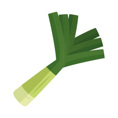 taze soğan sebze ikonu izole tasarım