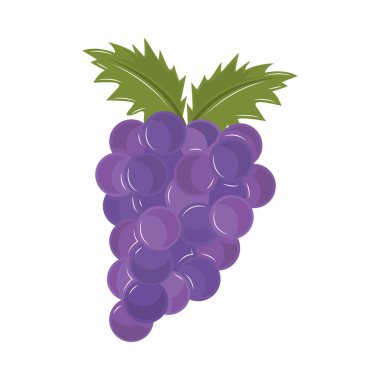 bir demet meyve izole ikonu