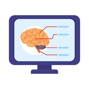 Dijital gösterimde beyin aktivitelerini gösteren bir bilgisayar ekranı