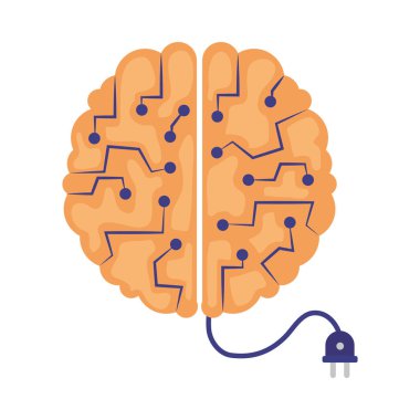 Bağlılığı ve bilişsel işlevleri temsil eden sinirsel yolları olan bir beyin.