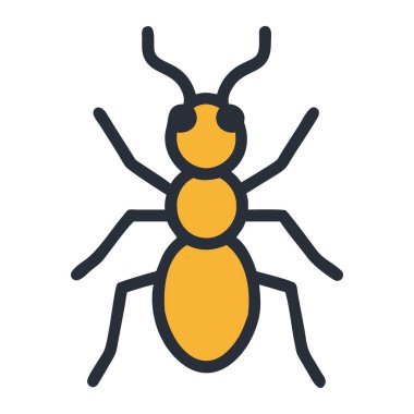 Böcek biyoçeşitliliğini temsil eden küçük tropikal yağmur ormanı karıncaları