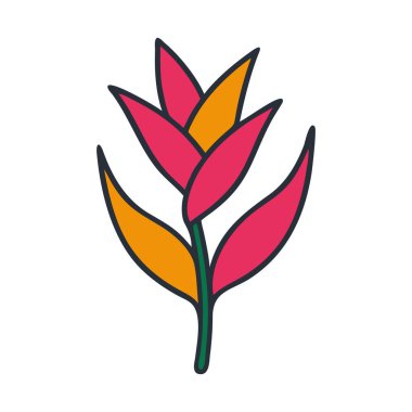 Tropikal yağmur ormanlarında çiçek açan güzel bir sarmal çiçek.