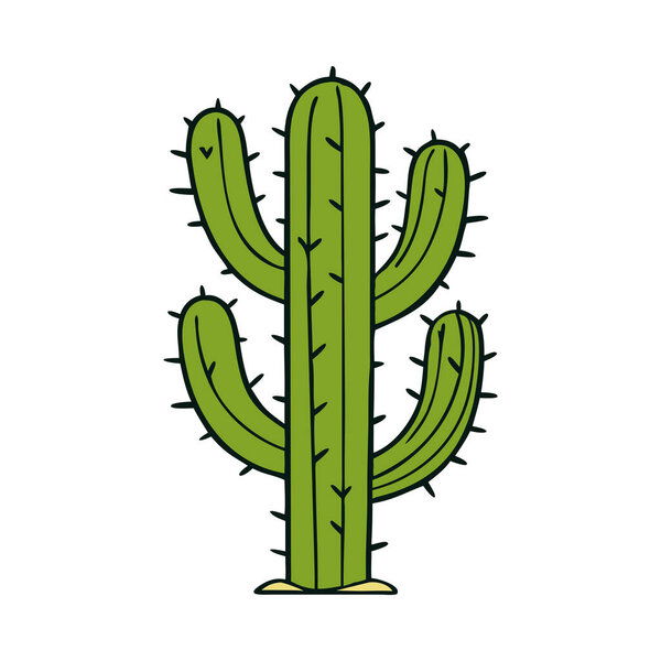 Ботанический вектор зелёного кактуса