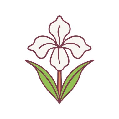 Yaban çiçeği çiçeğinin zarif kompozisyonu