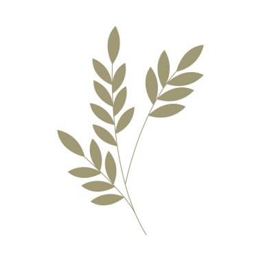 Basit botanik yaprağı boho estetiği