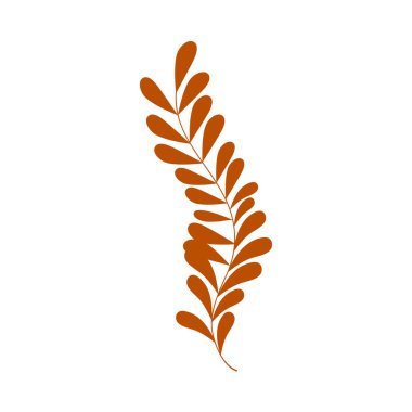 Boho estetiği olan zarif botanik elementler