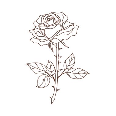 Boho çiçeği yabani gül bağı çizimi