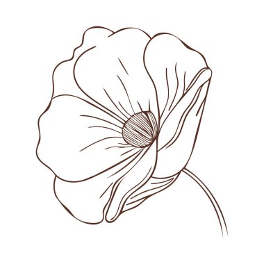 Boho çiçeği yumuşak taç yaprağı elle çizilmiş sanat