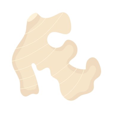 Hint Baharatları Zencefil kökü Aromatik Şifalı Bitki Mutfağı İçindeki Vektör Mutfak Doğal Kokulu