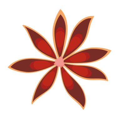 Hint Baharatları Star Anise Kuru Aromatik Bitki Erotik Mutfak Mutfağı Geleneksel Ekzotik