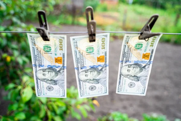 stock image Hundred-dollar bills hang on clothespins against the backdrop of a garden bed. Cash laundering in agriculture. Three hundred dollars drying closeup