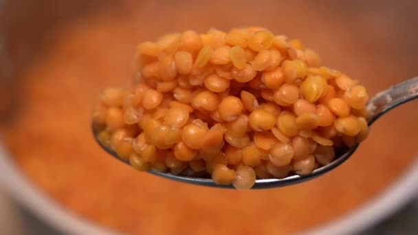 Μαγειρεμένες Πορτοκαλί Φακές Κοντά Ένα Κουτάλι Φόντο Βραστό Χυλό Ένα — Αρχείο Βίντεο