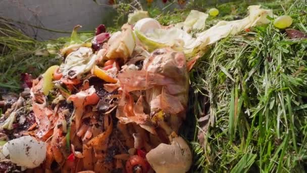 食品廃棄物のクローズアップでヒープをコンポストします 有機生分解性の人間廃棄物 滑らかなカメラの動き 高品質のフルHd映像 — ストック動画