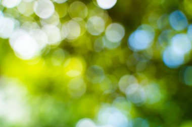 Bulanık yeşil yaz arkaplanı ve röfleli. Güneş parıltısı, açık bir diyaframda, zengin bir duvar kağıdının yapraklarını delip geçer.