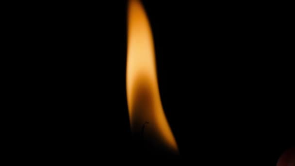 Match Ignites Candle Dark Close Burning Candle Center Frame Black — Vídeo de Stock