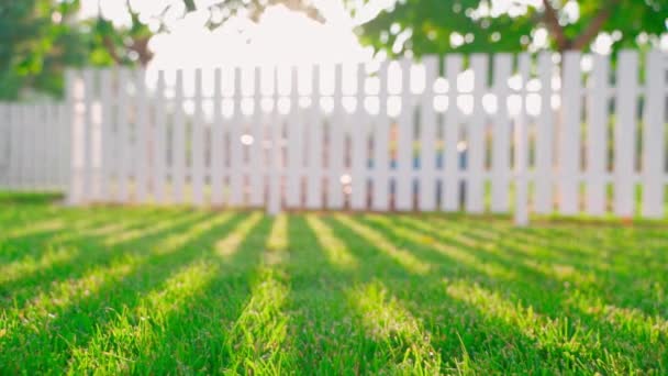Rays Setting Sun Evening Make Way Fence Illuminate Green Saturated — Stockvideo
