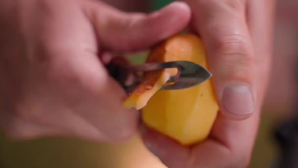 Händerna Skalning Vit Potatis Med Speciell Kniv Närbild Suddig Bakgrund — Stockvideo